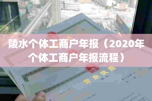 陵水个体工商户年报（2020年个体工商户年报流程）