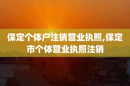 保定个体户注销营业执照,保定市个体营业执照注销