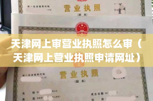 天津网上审营业执照怎么审（天津网上营业执照申请网址）