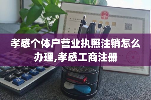 孝感个体户营业执照注销怎么办理,孝感工商注册