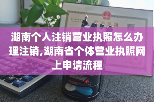 湖南个人注销营业执照怎么办理注销,湖南省个体营业执照网上申请流程