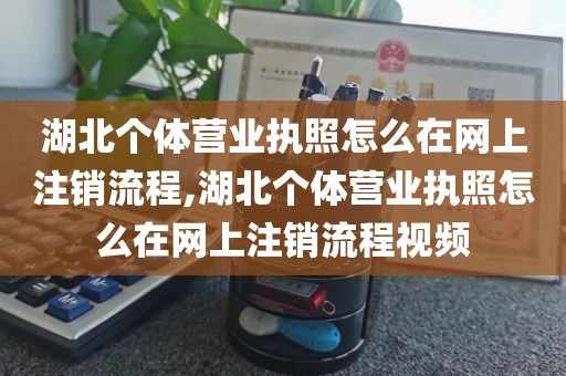 湖北个体营业执照怎么在网上注销流程,湖北个体营业执照怎么在网上注销流程视频