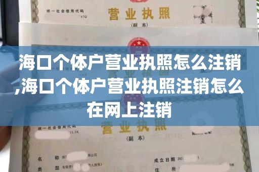 海口个体户营业执照怎么注销,海口个体户营业执照注销怎么在网上注销