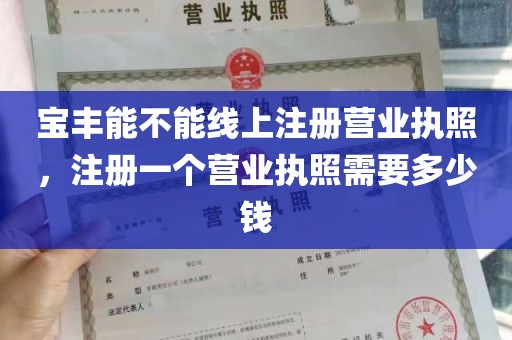 宝丰能不能线上注册营业执照，注册一个营业执照需要多少钱