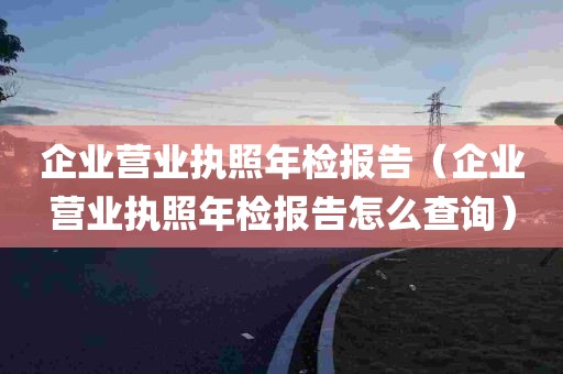 企业营业执照年检报告（企业营业执照年检报告怎么查询）