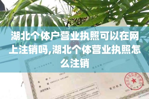 湖北个体户营业执照可以在网上注销吗,湖北个体营业执照怎么注销