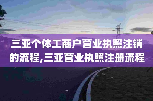 三亚个体工商户营业执照注销的流程,三亚营业执照注册流程