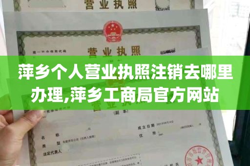 萍乡个人营业执照注销去哪里办理,萍乡工商局官方网站