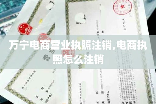 万宁电商营业执照注销,电商执照怎么注销