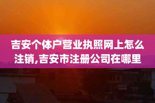 吉安个体户营业执照网上怎么注销,吉安市注册公司在哪里