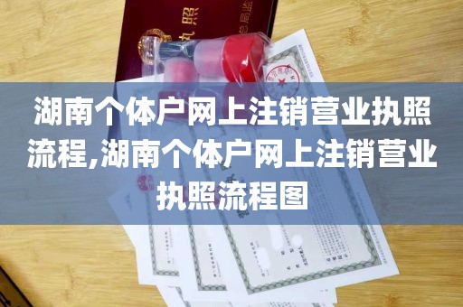 湖南个体户网上注销营业执照流程,湖南个体户网上注销营业执照流程图
