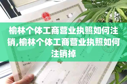 榆林个体工商营业执照如何注销,榆林个体工商营业执照如何注销掉