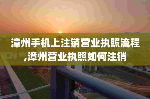 漳州手机上注销营业执照流程,漳州营业执照如何注销