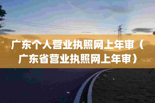 广东个人营业执照网上年审（广东省营业执照网上年审）