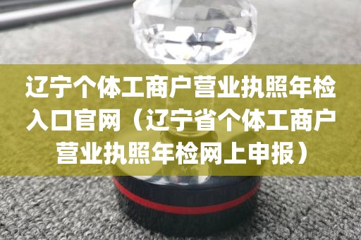 辽宁个体工商户营业执照年检入口官网（辽宁省个体工商户营业执照年检网上申报）