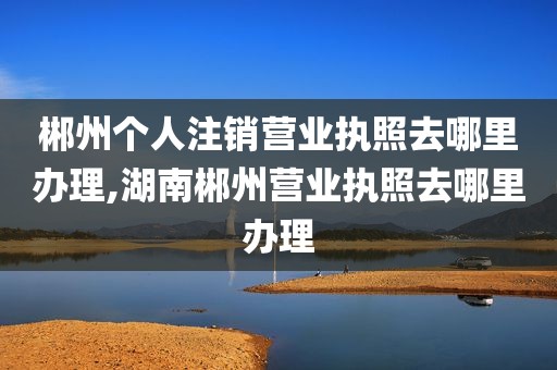 郴州个人注销营业执照去哪里办理,湖南郴州营业执照去哪里办理