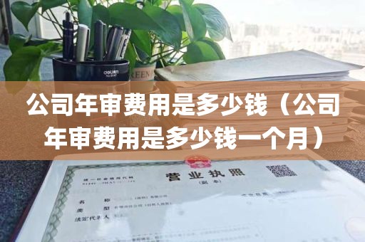 公司年审费用是多少钱（公司年审费用是多少钱一个月）