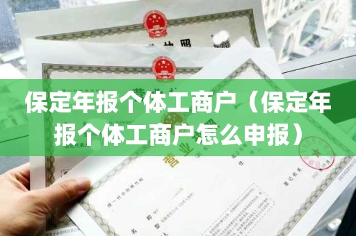 保定年报个体工商户（保定年报个体工商户怎么申报）