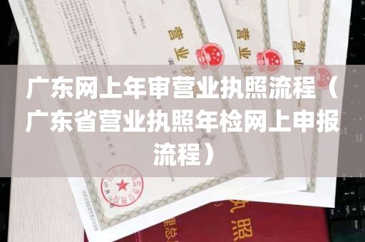 广东网上年审营业执照流程（广东省营业执照年检网上申报流程）