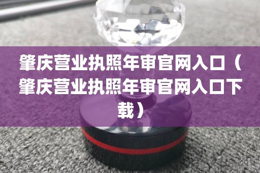 肇庆营业执照年审官网入口（肇庆营业执照年审官网入口下载）