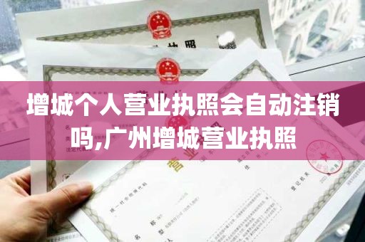 增城个人营业执照会自动注销吗,广州增城营业执照