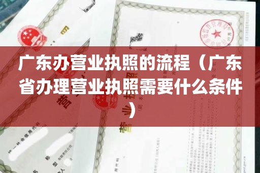 广东办营业执照的流程（广东省办理营业执照需要什么条件）