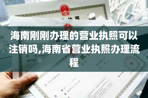 海南刚刚办理的营业执照可以注销吗,海南省营业执照办理流程