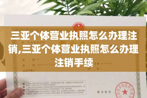 三亚个体营业执照怎么办理注销,三亚个体营业执照怎么办理注销手续