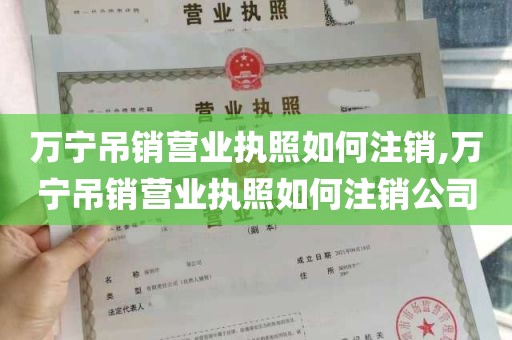 万宁吊销营业执照如何注销,万宁吊销营业执照如何注销公司