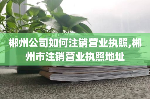 郴州公司如何注销营业执照,郴州市注销营业执照地址