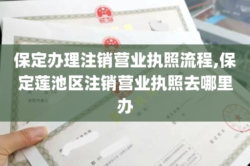 保定办理注销营业执照流程,保定莲池区注销营业执照去哪里办