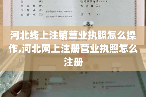 河北线上注销营业执照怎么操作,河北网上注册营业执照怎么注册