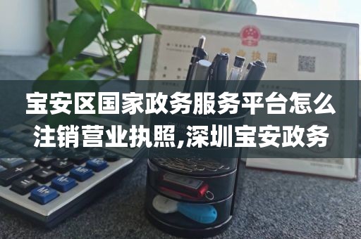 宝安区国家政务服务平台怎么注销营业执照,深圳宝安政务