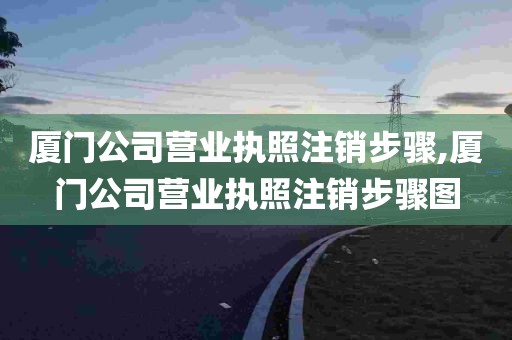 厦门公司营业执照注销步骤,厦门公司营业执照注销步骤图