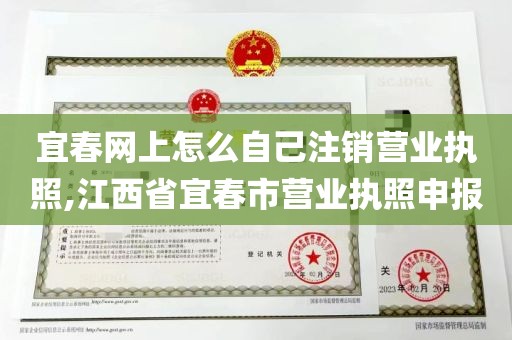 宜春网上怎么自己注销营业执照,江西省宜春市营业执照申报