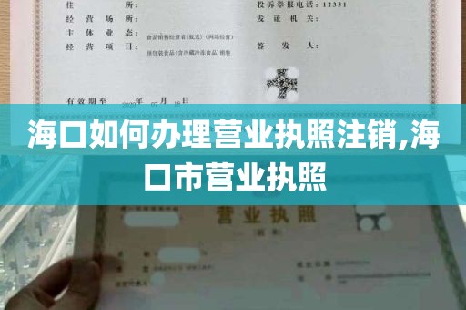 海口如何办理营业执照注销,海口市营业执照