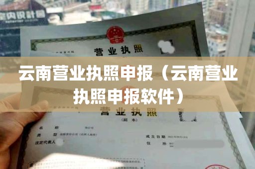 云南营业执照申报（云南营业执照申报软件）