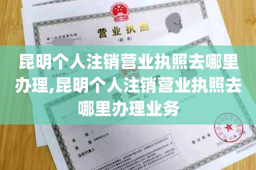 昆明个人注销营业执照去哪里办理,昆明个人注销营业执照去哪里办理业务