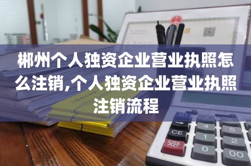 郴州个人独资企业营业执照怎么注销,个人独资企业营业执照注销流程