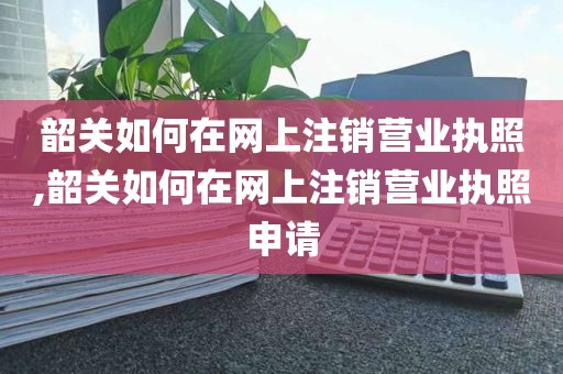 韶关如何在网上注销营业执照,韶关如何在网上注销营业执照申请