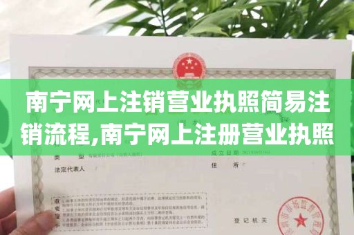 南宁网上注销营业执照简易注销流程,南宁网上注册营业执照