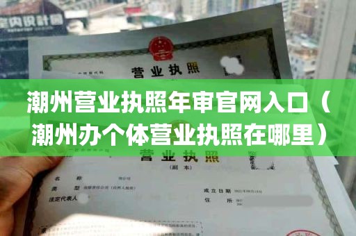 潮州营业执照年审官网入口（潮州办个体营业执照在哪里）