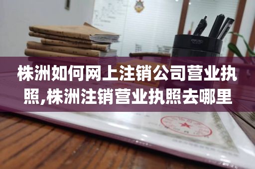 株洲如何网上注销公司营业执照,株洲注销营业执照去哪里