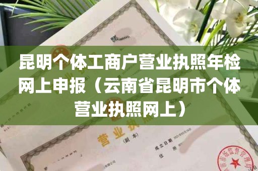 昆明个体工商户营业执照年检网上申报（云南省昆明市个体营业执照网上）