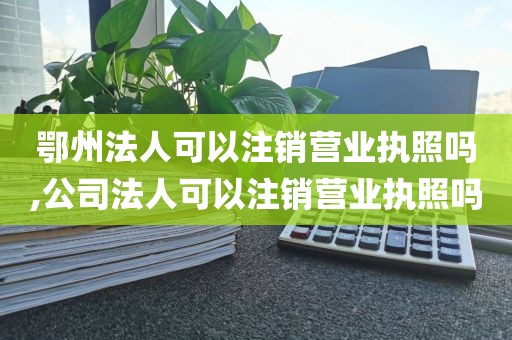 鄂州法人可以注销营业执照吗,公司法人可以注销营业执照吗