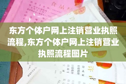 东方个体户网上注销营业执照流程,东方个体户网上注销营业执照流程图片