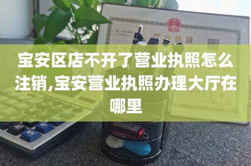 宝安区店不开了营业执照怎么注销,宝安营业执照办理大厅在哪里