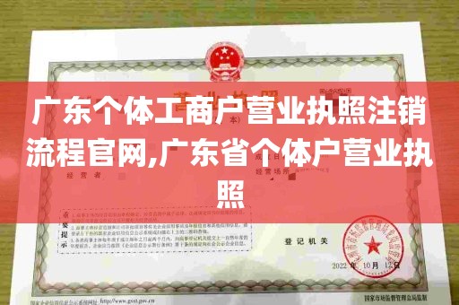 广东个体工商户营业执照注销流程官网,广东省个体户营业执照