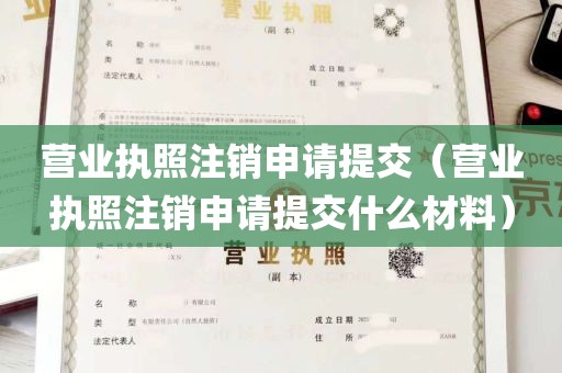 营业执照注销申请提交（营业执照注销申请提交什么材料）