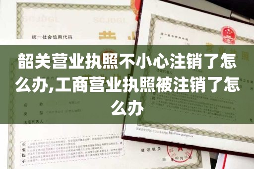 韶关营业执照不小心注销了怎么办,工商营业执照被注销了怎么办